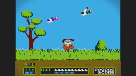 Duck Hunt Image