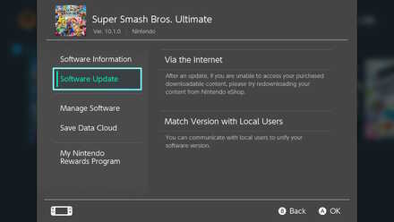 Select Software Update Option