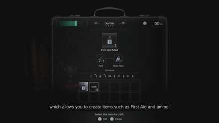 Resident Evil Crafting.JPG