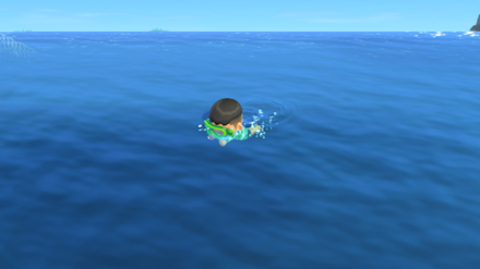 How to Catch a Scallop  Scallop Animal Crossing New Horizons