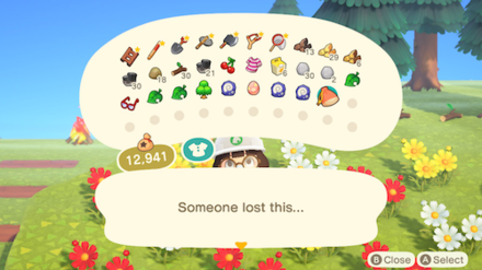 ACNH - Investigate Lost Item from Pockets