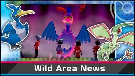 Cramorant Wild Area News.jpg