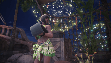 summer twilight hub provisions.png