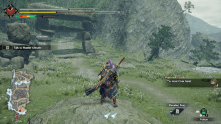 MH Rise - Map Display ON