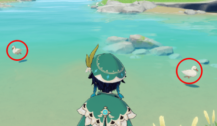 Genshin - Scarletbeak Duck Location - Falcon Coast
