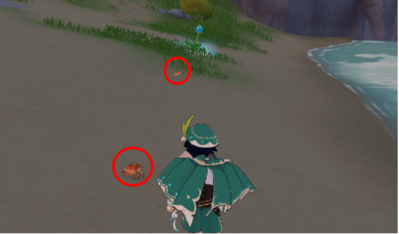 Genshin - Sun Crab Location - Falcon Coast