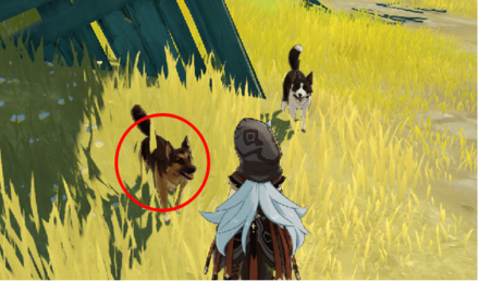 Genshin - Black-Back Hound Location - West of Cuijue Slope