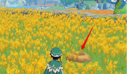 Genshin - Amateur Weasel Thief Location - Qingce Village