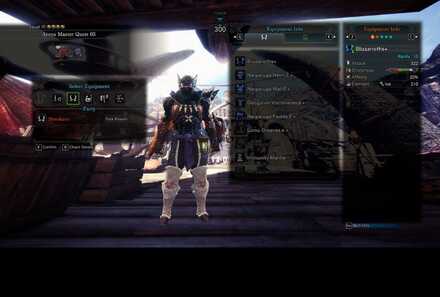 Arena Master Quest 05 Dual Blades Loadout.jpg