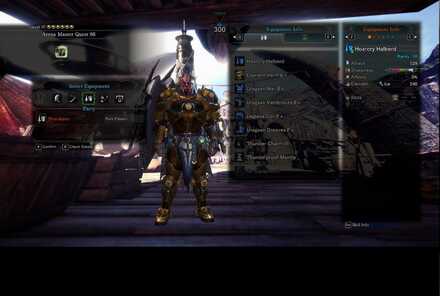 Arena Master Quest 06 Lance Loadout.jpg