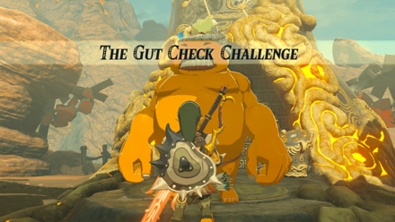 Breath of the Wild (BotW) The Gut Check Challenge Shrine Quest