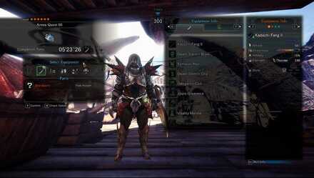 Arena Quest 06 Long Sword Loadout.jpg