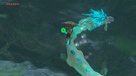 BotW - Spring of Wisdom - Follow Naydra