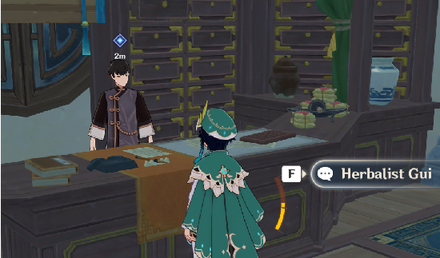 Genshin - A Very Festive Problem - Herbalist Gui