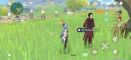 Genshin - Wangshu Once Again - Mr. Bohuan