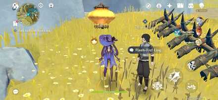 Genshin - When the Light Wanes - Flash-Fist Ling