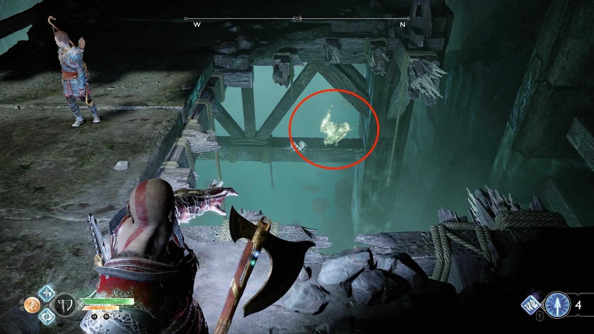 the mountain raven 3.jpg