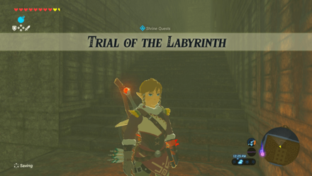 How To Complete The Trial Of Second Sight Shrine Quest In BotW