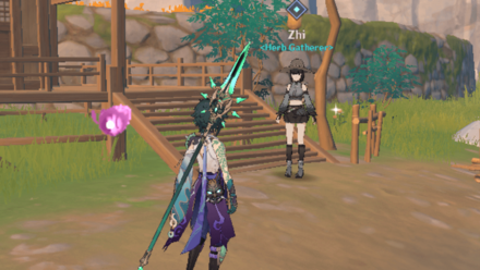 Genshin - Guardians of the Countryside - Zhi