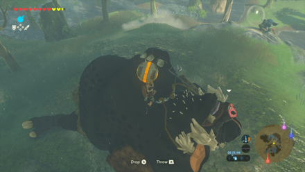 BotW - The Three Giant Brothers Hinox (Oldest Kin) Orb 3