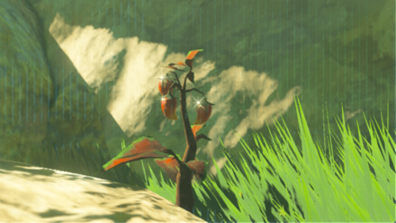 BotW - How to Farm Spicy Peppers Quickly