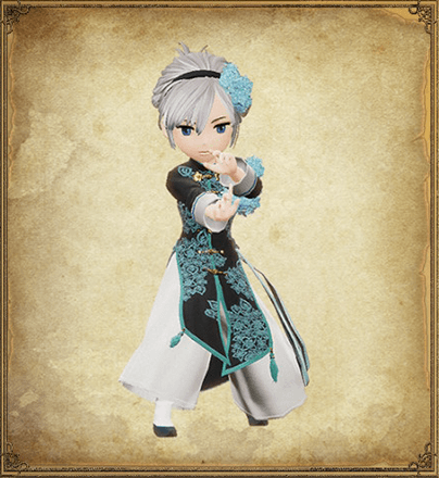 Bravely Default 2 Monk Portrait