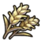 Wheat Image