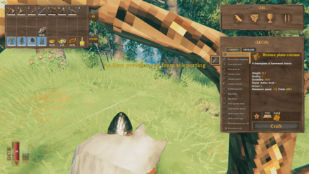 An Item Prevents You From Teleporting