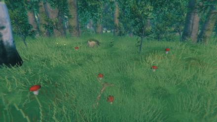 Mushrooms in the Meadows