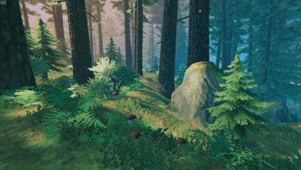 Mushrooms in the Black Forest