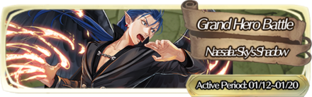 Grand Hero Battle: Naesala Banner