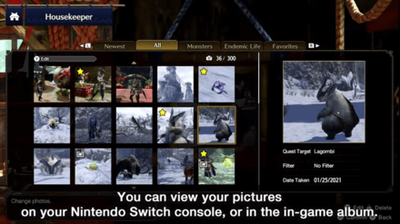 MH Rise - Photo Mode