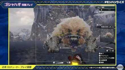 MH Rise - Goss Harag Footage