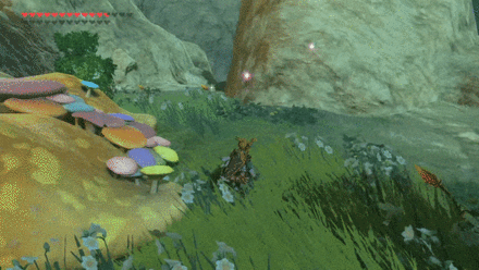 Zelda BOTW - Pick Up Fairies