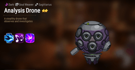 Analysis Drone image