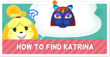 How to Find Katrina Banner
