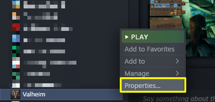Valheim - How to Enable Debug Console step 1.png