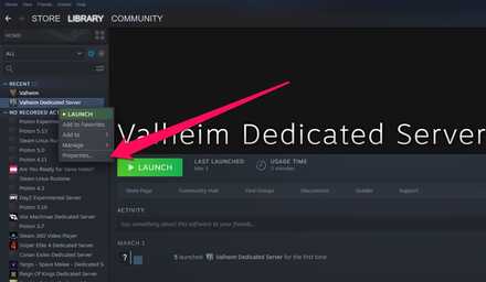 Properties Valheim Dedicated Server.jpg