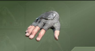 Terrestrial Gloves