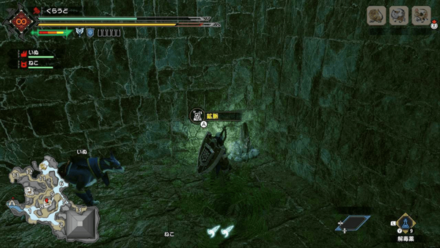 MH Rise - Lightcrystal Farming Route Step 2