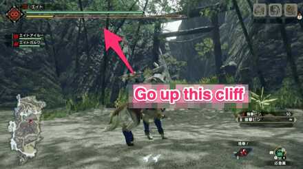 MH Rise - Shrine Ruins 6 Location 1