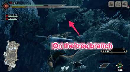 MH Rise - Shrine Ruins 7 Location 1