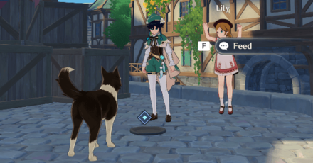 Genshin - Feed Puppies by Placing Fowl in the bowl