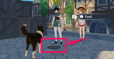 Genshin - How to Put Fowl into the Bowl.png