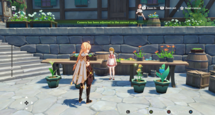 Windblume Research Report - Flora