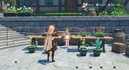 Winblume Research Report - Photo Mode