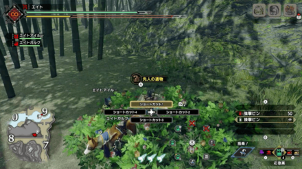 MH Rise - Shrine Ruins 9 Location