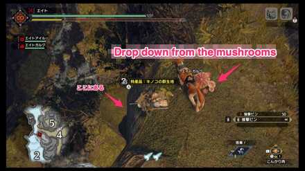 MH Rise - Shrine Ruins 10 Location 2