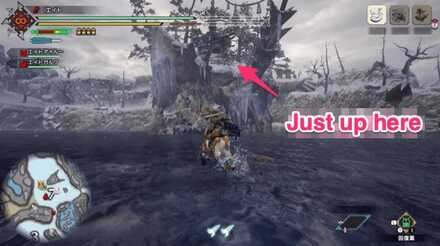 MH Rise - Frost Islands 1 Location 2