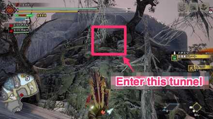 MH Rise - Frost Islands 3 Location 2